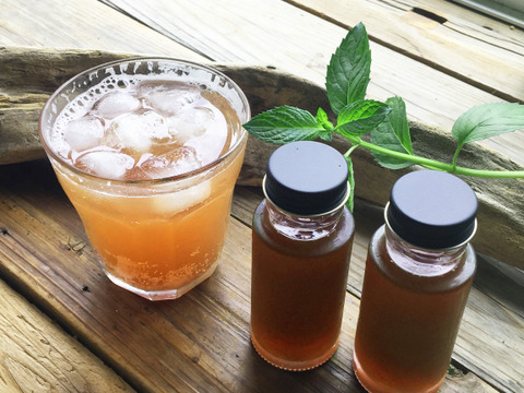 ホッとひと息温まる!濃厚Gunger Syrup 50ml 4本