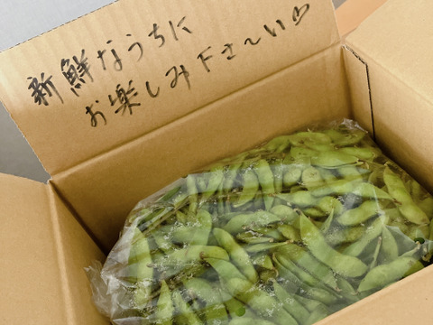 枝豆王国新潟から☆ブサイクなB品（1.5kg）　生産者は毎日この枝豆食べてます(^^)