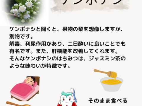 【母の日ギフト】国産はちみつギフトセット80g4本　ギフトボックス入り　母の日専用カード付