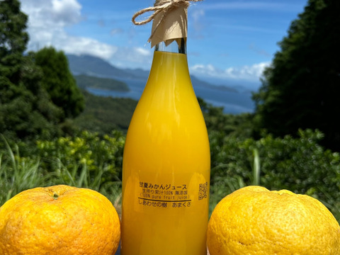 【冬ギフト】無添加甘夏ジュース果汁100% 2本（1本720ml）