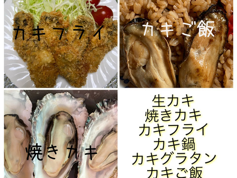 ❄️生食Ok☆厚岸産冬の殻付牡蠣❄️3Lサイズ20個入