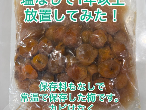 自然栽培 完熟ありが梅 850g 完熟ありがと梅 850g 早っ！梅干が最短1日