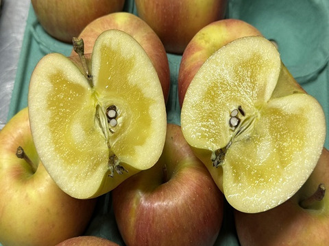 近年大人気！　蜜が入りやすく、パインの様な味わい　葉とらず“こうとく”　家庭用　約3キロ　限定販売！