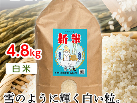 【令和6年新米】雪若丸　令和6年産4.8キロ白米　甘味のある新食感！