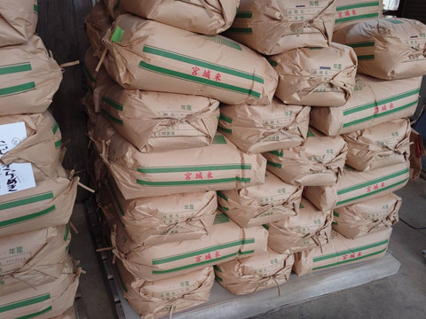 令和5年度　宮城県産 つや姫 30kg 冷蔵保存　古米 伊達の米蔵 宮城米 つや姫 玄米30kg 令和5年産