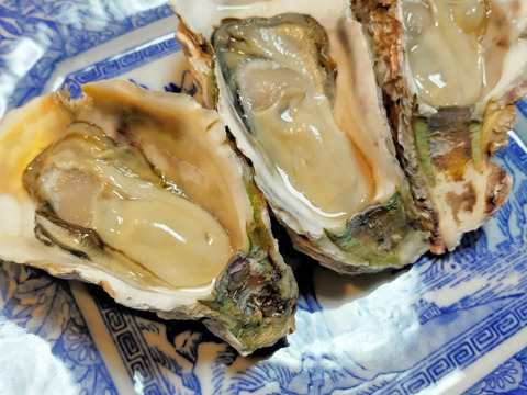 【生食】小ぶりで美味！
ミネラルたっぷり島根県産岩牡蠣(S20個入)