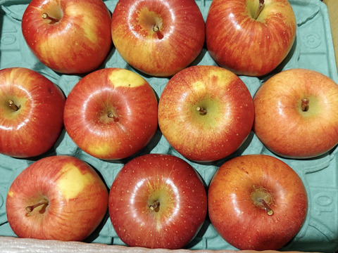 訳あり サンふじ  3キロ箱7～11玉 長野県産