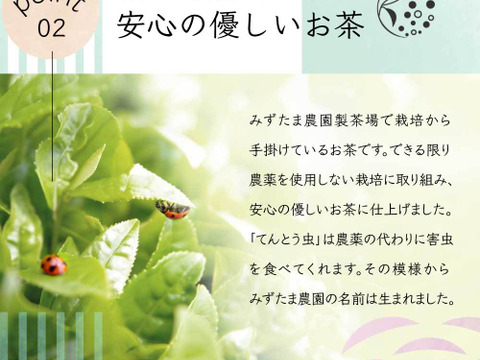 【合わせ買い・単品】HARUHANAべにふうき 粉末緑茶 50g 静岡牧之原