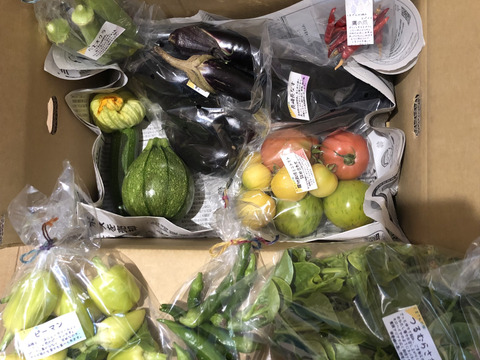 旬の固定種★おまかせ野菜セット★80サイズ