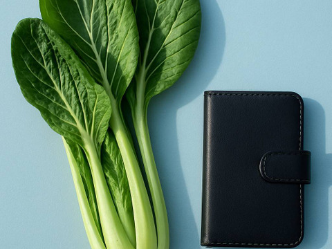 産地直送　朝どれ小松菜(3kg)