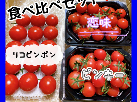 【限定品‼️8月23日発送❗️】ミニトマト　ピンキー、恋味、ミディトマト　リコピンポン‼️食べ比べセット❗️