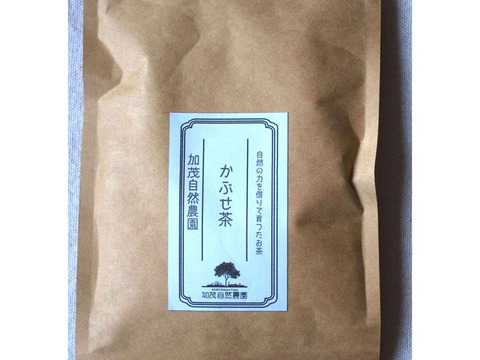 贅沢！世界のお茶セット　日本産　農薬・肥料不使用加茂自然農園のお茶