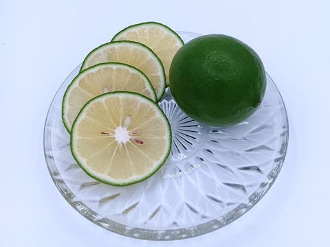 【お試しに】緑色のレモン『グリーン マイヤーレモン』【1.8kg】