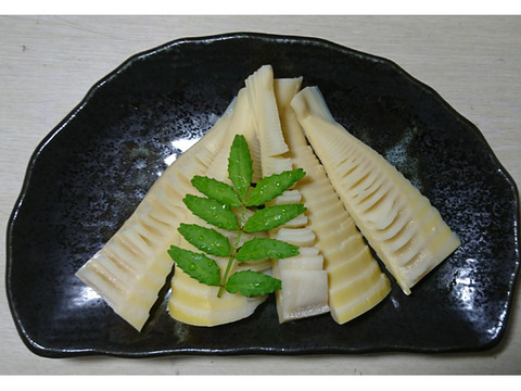 【キャプテンさん専用】調理の手間なし！穂先＆きざみ筍(2セット）