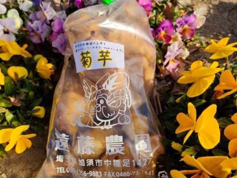 菊芋5kg 5キロ 洗浄済み 埼玉県加須市 遠藤農園