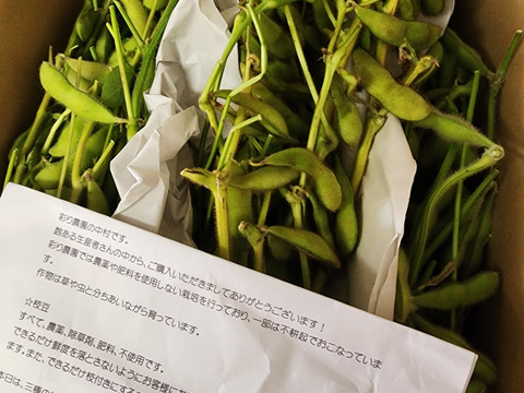 【自然栽培】秋のおいしい枝豆(１キロ)