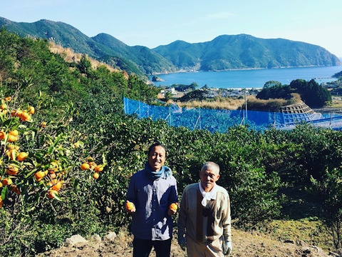 【KUMANO LEMON】リスボンレモン 3kg(18個〜24個)
⭐︎採れたて直送⭐︎