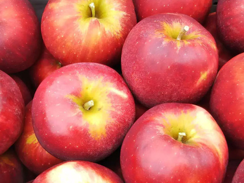 生でも加工でも！ りんご紅玉 (B品2㎏)