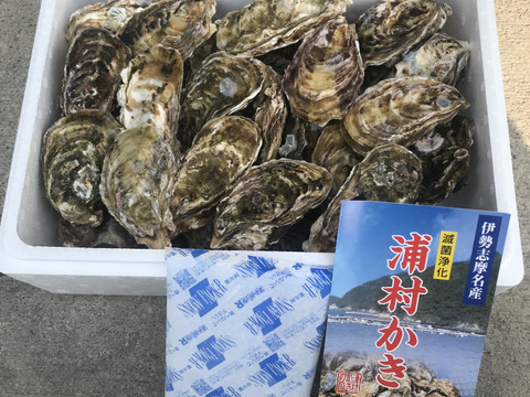 【生牡蠣】【生食用】S～Mサイズ 30個入り 2.5Kg 三重県産 殻付き 浦村かき(3～6人前）
牡蠣 カキ 貝類 海鮮 BBQ 歳暮 熨斗 忘年会 新年会 女子会 誕生日 母の日【冬ギフト】