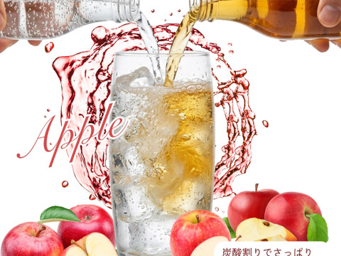 《自家用・限定20箱》山形県東根市産 ふじ100% りんごジュース（ストレート）1,000mL×2本