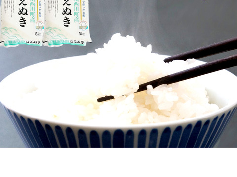 【山形県産 美味しい「はえぬき」１０ｋｇ 2021年新米】精米 無洗米 　
 A米 (5kgｘ2)際立つ美味しさ 定番の美味しさは根強い人気です♪♪
