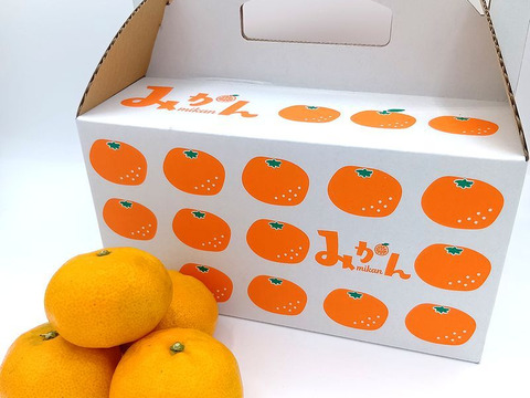 秋が旬！『早みかん』【9.3kg】