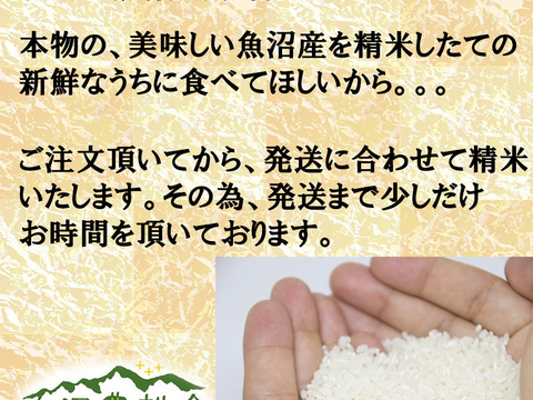 一粒一粒がごちそう品質！子どもが笑顔になるごはん！魚沼産コシヒカリ 特別栽培米(3kg)