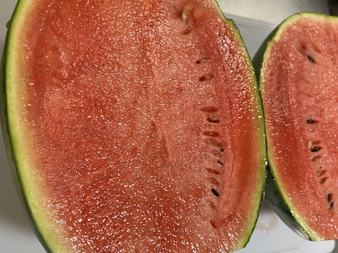 👑大人気👑【産直で即完売❗️】
【渾身の一玉】😋🍉理想のスイカ🍉