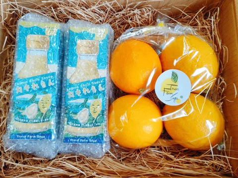 レモンチリソース『カキれもん』ギフト箱入り２本＋レモン４個セット