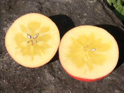 濃厚な甘みのりんご 「こうとく」（B品2㎏）