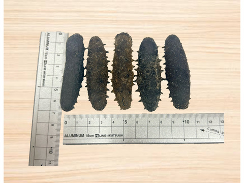 乾燥ナマコ  L 100g