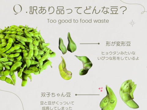 ★訳あり規格外品‼️白山だだちゃ豆１kg【朝どれ】