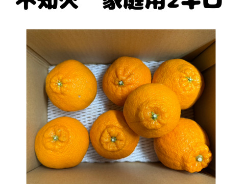 不知火 『家庭用2キロ』