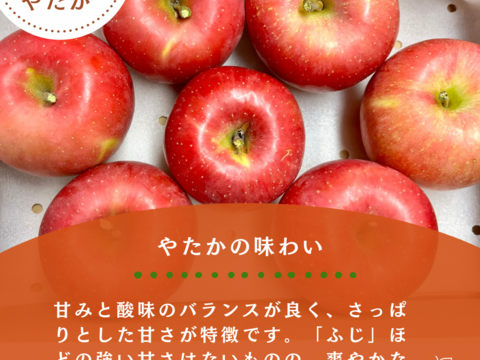 【りんご食べ比べセット】トキ やたか りんご 3kg 採れたて直送 リンゴ 美味しい ギフト 家庭用 美味しいりんご おすすめ 果実 フルーツ ツガル お取り寄せフルーツ お試し 青リンゴ 黄色りんご