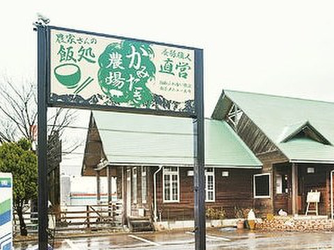 激レア！比内地鶏の屋外平飼い卵34ヶ＋6ケ(割れ補償)
【小分け対応可】