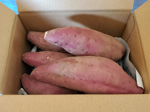 調理サイズ2.5kg/箱詰/洗浄済み　栗かぐや