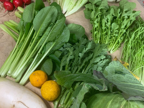 福来る！冬野菜もりもりセット！１０袋入り【ゲン担ぎ福袋】