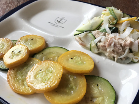 【自然栽培】ズッキーニ＋きゅうり 固定種セット 4kg以上★農薬・肥料不使用