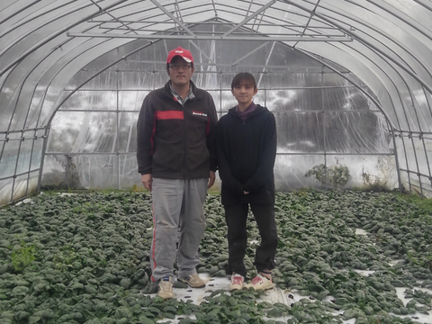 令和5年青森県産無洗米あさゆき5kg×4計20kg