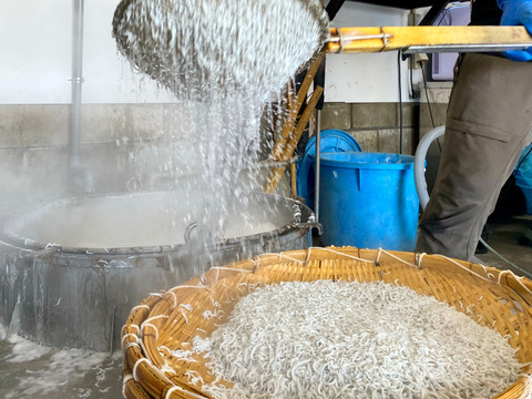 最上品★網元が作る天日干しシラス 化粧箱入り