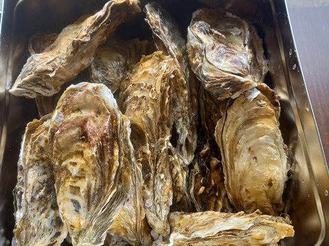 お家で牡蠣小屋気分！牡蠣カンカン焼き30個入りナイフ軍手付き