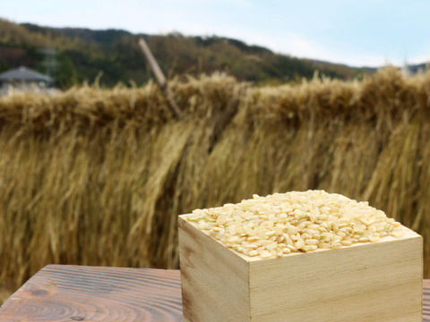 《令和元年産》イセヒカリ玄米2kg【無農薬・無肥料・天日干し】