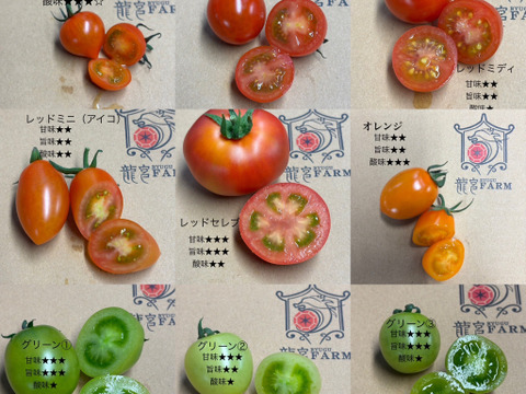 まるでトマトの宝石箱やぁ♪　思わずにっこり、龍宮ジュエリー（3.0ｋｇ）【トマト食べ比べ】