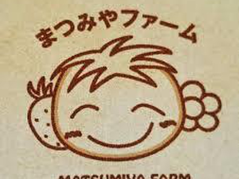 甘くてたまらん！！旬のイチゴセット(2パック)