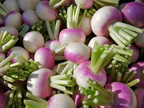 【アワード受賞福袋】旬野菜おまかせＬセット(12品目) 期間限定！！