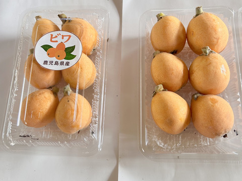 ビワ（ご家庭用）約1kg