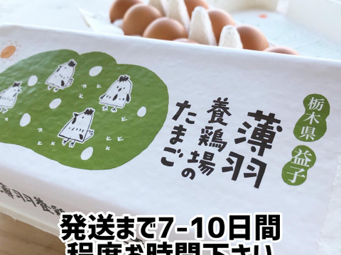 【赤40個】陶芸の里、益子でうまれた赤たまご 40個