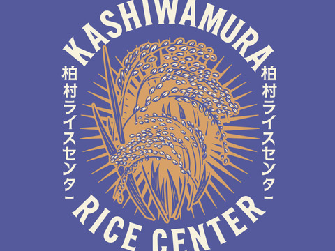 大定番！！【令和7年度 新米】茨城県産コシヒカリ精米5kg