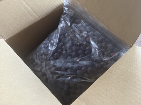 エリエリ様専用　ブルーベリーセット