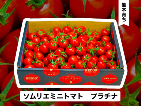 【希少な高濃度フルーツトマト】ソムリエミニトマト　プラチナ　箱込み２kg（９０玉～１５０玉）